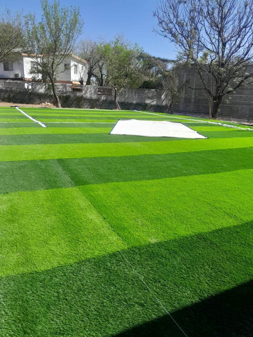 Mantenimiento de canchas y portería 1